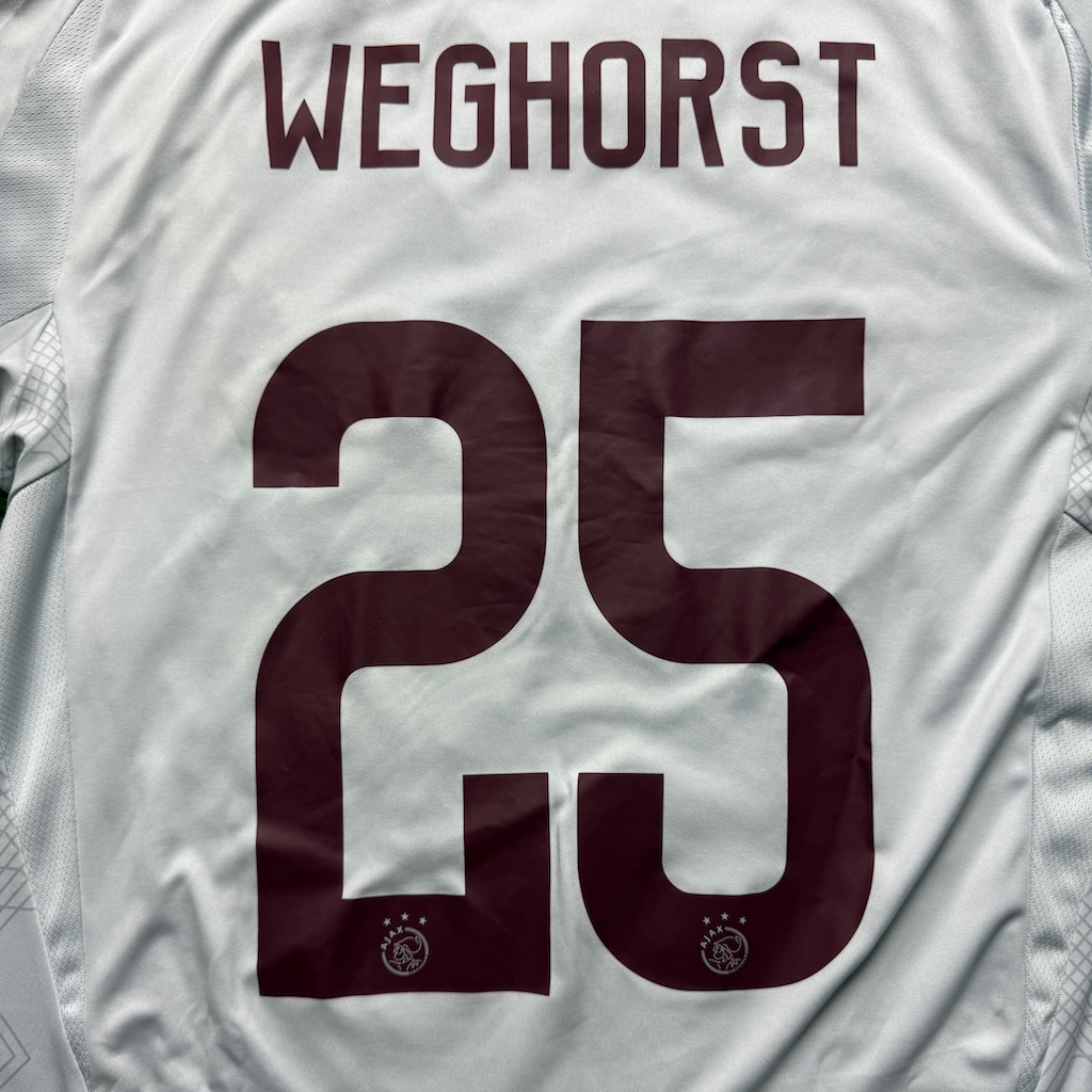 2024/2025 3de Shirt #25 WEGHORST - Afbeelding 3